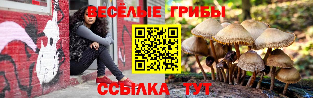 Псилоцибиновые грибы прущие грибы Ханты-Мансийск
